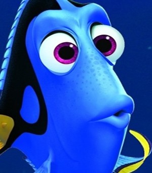Seu corpo não é como a Dory. Sua memória muscular vai te ajudar quando voltar aos treinos.